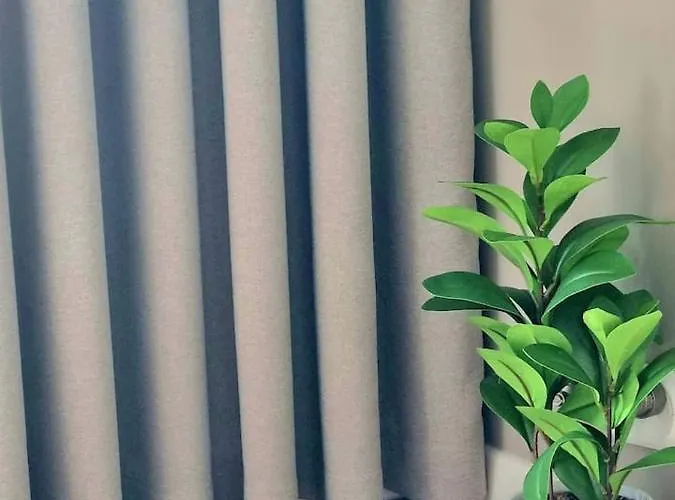 Alegre Appartement Druskininkai